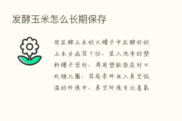 发酵玉米怎么长期保存