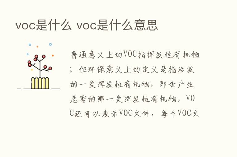 voc是什么 voc是什么意思