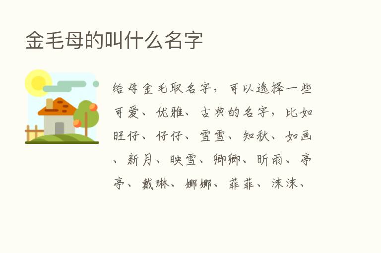 金毛母的叫什么名字