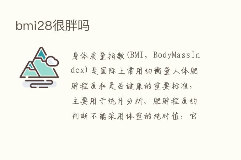 bmi28很胖吗