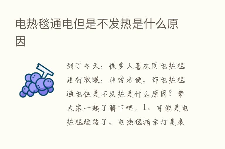 电热毯通电但是不发热是什么原因