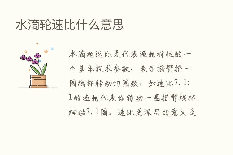 水滴轮速比什么意思