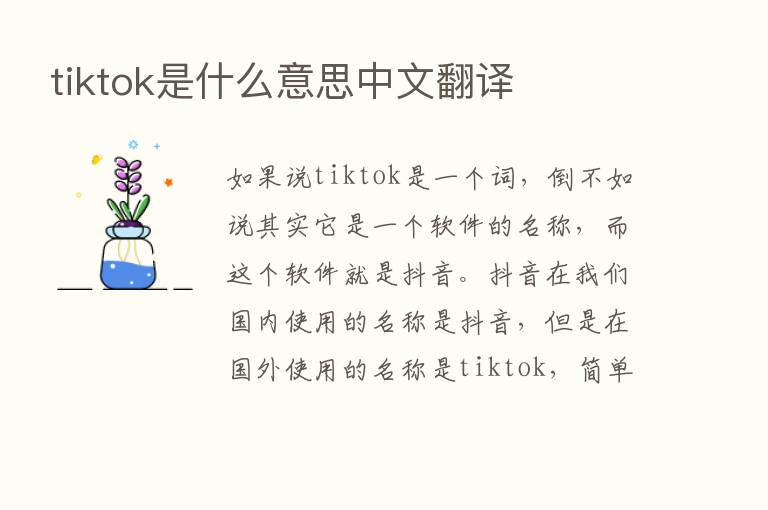 tiktok是什么意思中文翻译