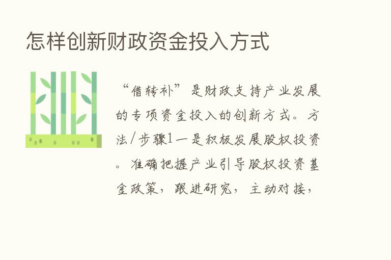 怎样创新财政资金投入方式