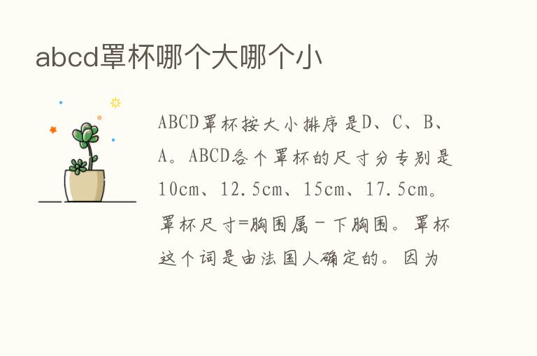 abcd罩杯哪个大哪个小