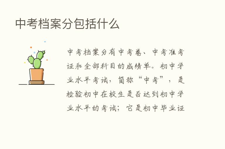 中考档案分包括什么