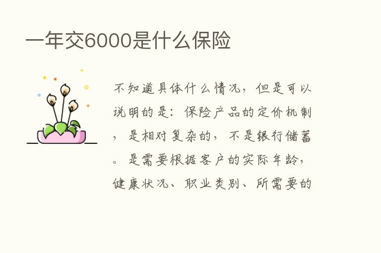 一年交6000是什么      