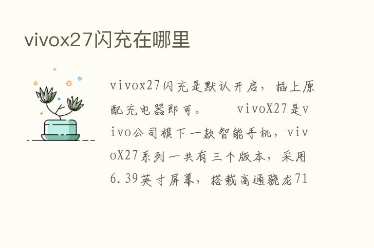 vivox27闪充在哪里