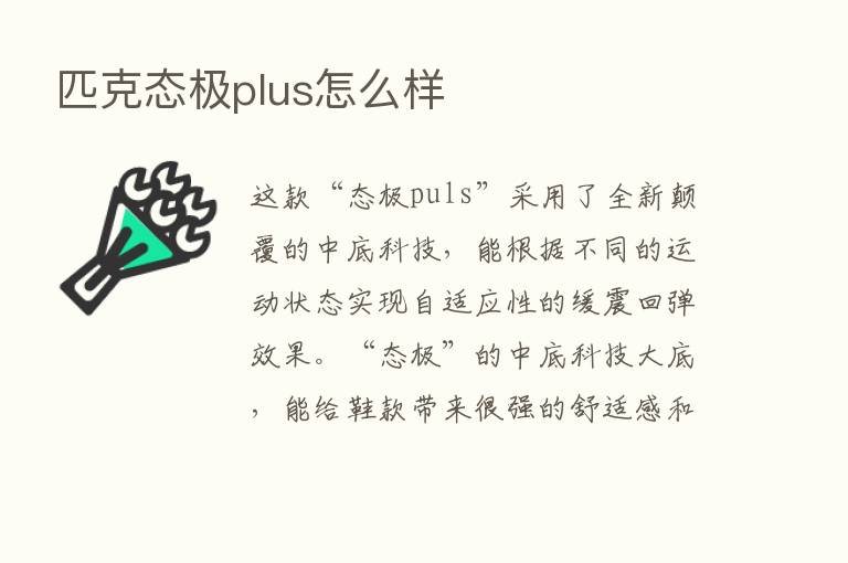 匹克态极plus怎么样