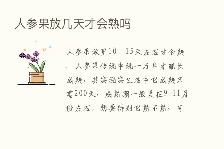 人参果放几天才会熟吗