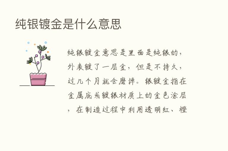 纯银镀金是什么意思