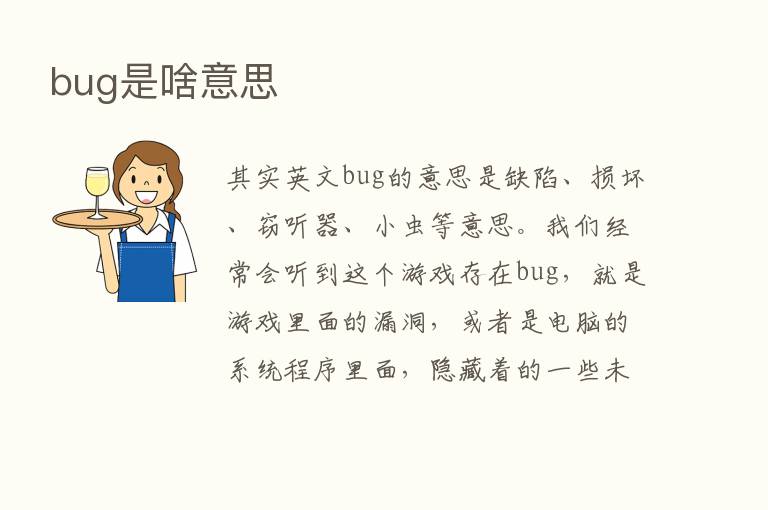 bug是啥意思