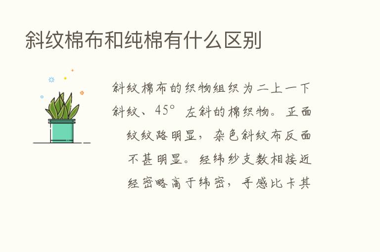 斜纹棉布和纯棉有什么区别