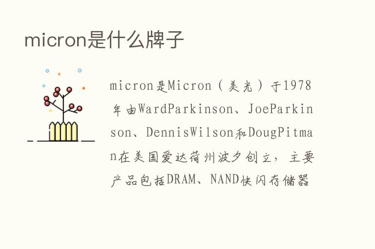 micron是什么牌子