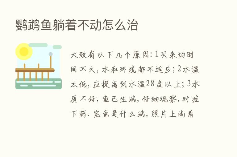 鹦鹉鱼躺着不动怎么治