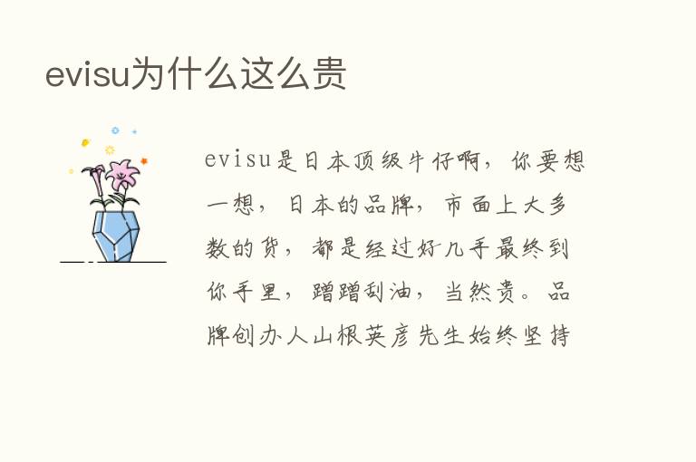 evisu为什么这么贵