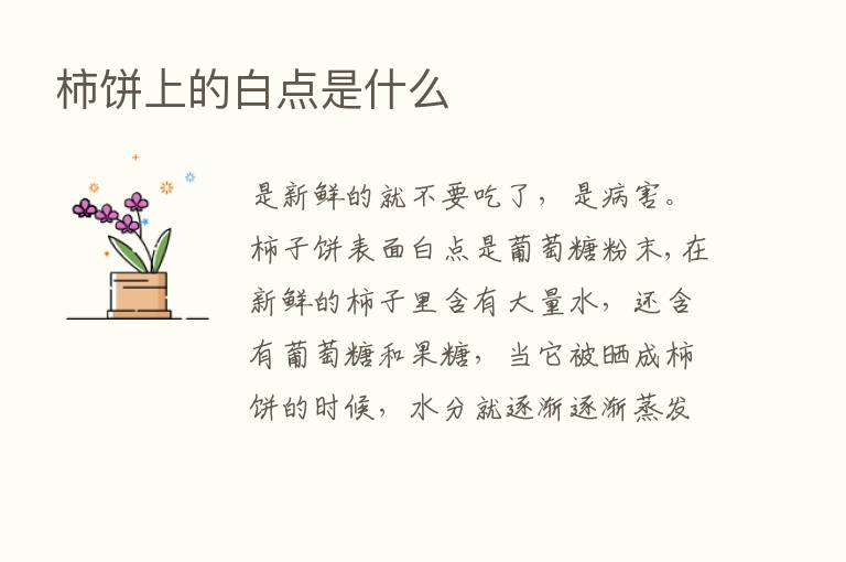 柿饼上的白点是什么