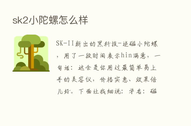 sk2小陀螺怎么样