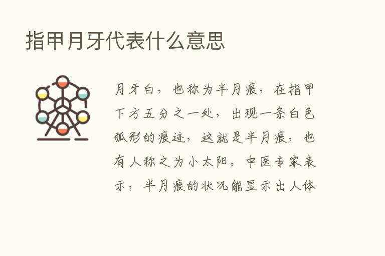 指甲月牙代表什么意思