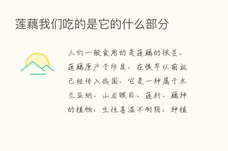 莲藕我们吃的是它的什么部分