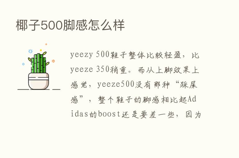 椰子500脚感怎么样