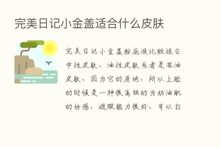 完美日记小金盖适合什么皮肤