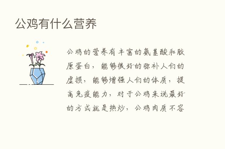 公鸡有什么营养