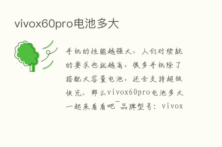 vivox60pro电池多大