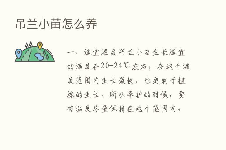 吊兰小苗怎么养