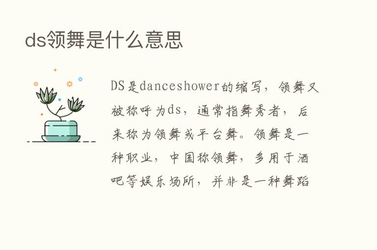 ds领舞是什么意思