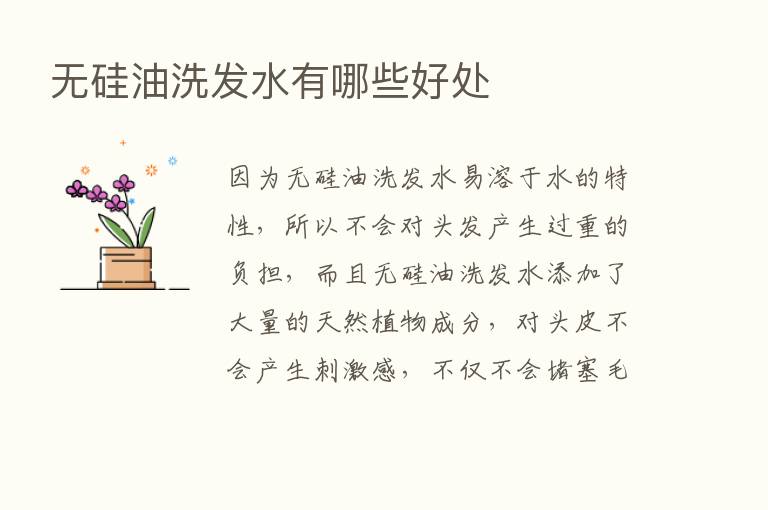 无硅油洗发水有哪些好处