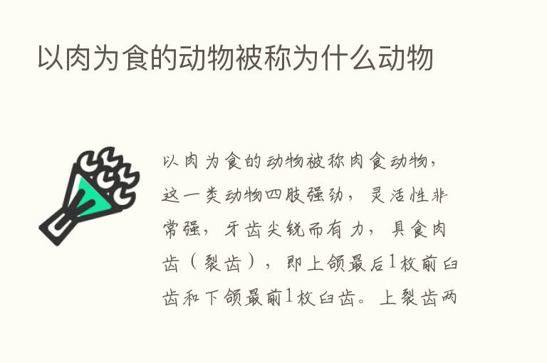 以肉为食的动物被称为什么动物