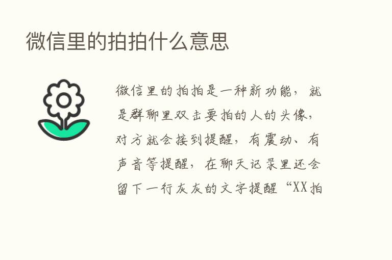 微信里的拍拍什么意思