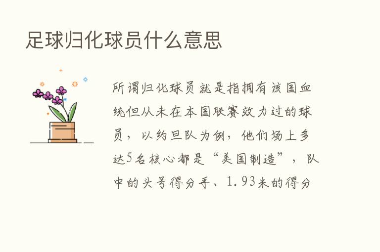 足球归化球员什么意思