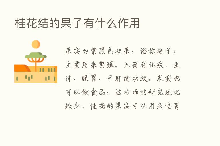 桂花结的果子有什么作用