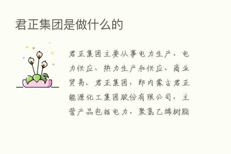 君正集团是做什么的