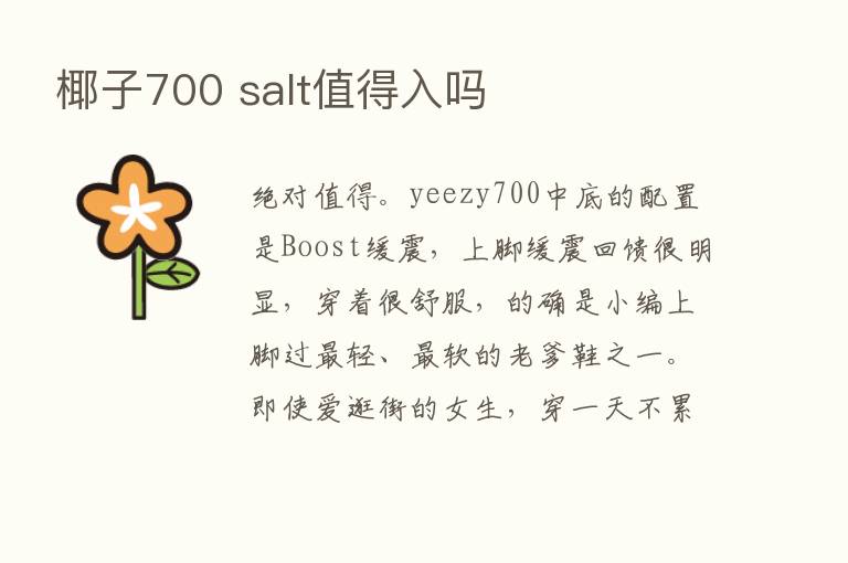 椰子700 salt值得入吗