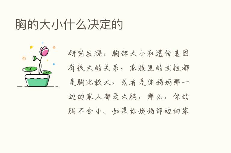 胸的大小什么决定的