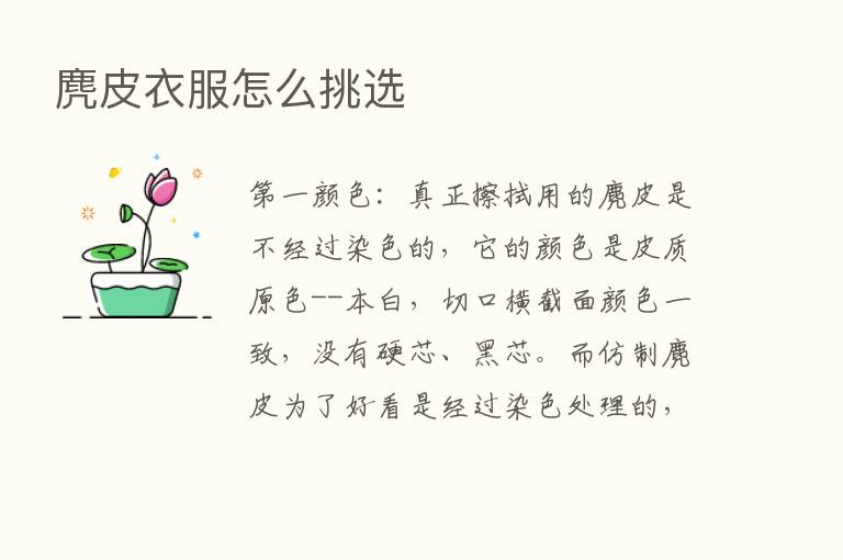 麂皮衣服怎么挑选