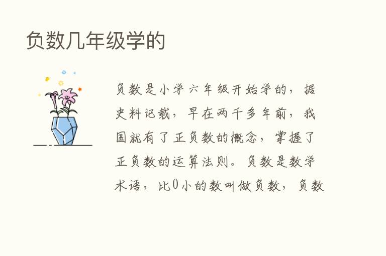 负数几年级学的