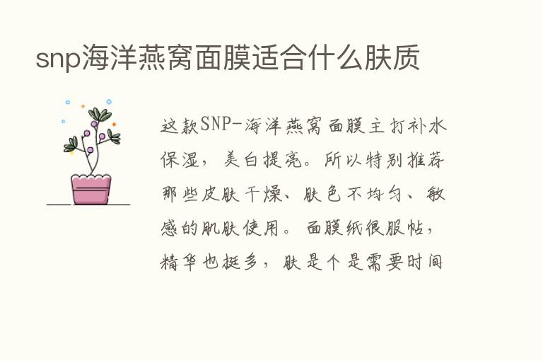 snp海洋燕窝面膜适合什么肤质