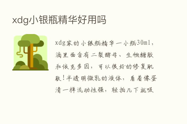 xdg小银瓶精华好用吗