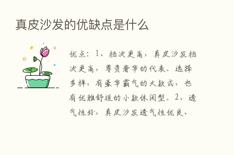 真皮沙发的优缺点是什么