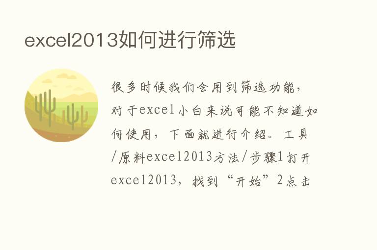 excel2013如何进行筛选