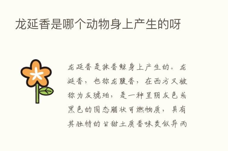 龙延香是哪个动物身上产生的呀