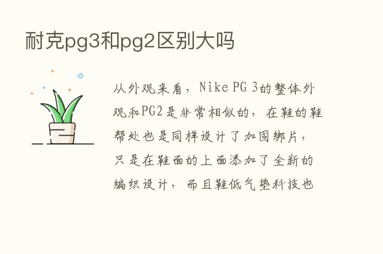 耐克pg3和pg2区别大吗