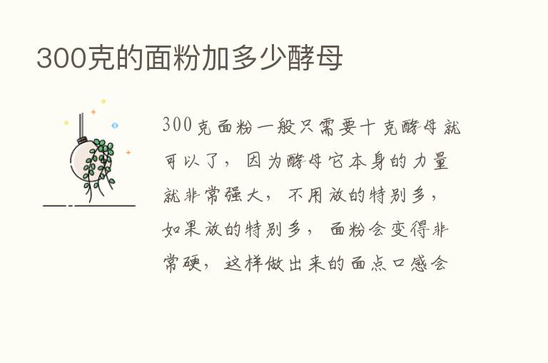 300克的面粉加多少酵母