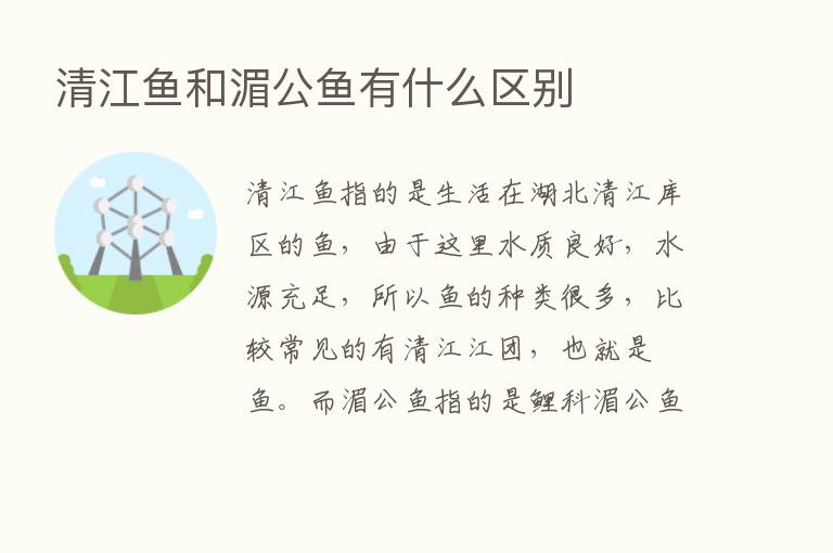 清江鱼和湄公鱼有什么区别