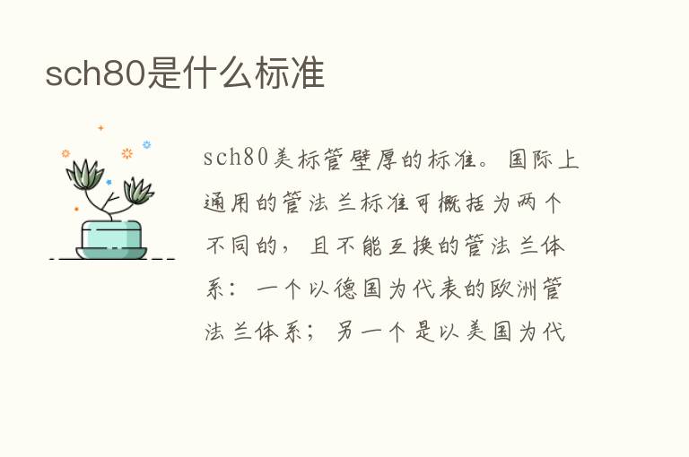 sch80是什么标准