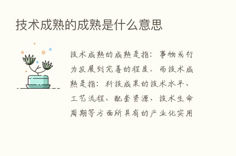 技术成熟的成熟是什么意思